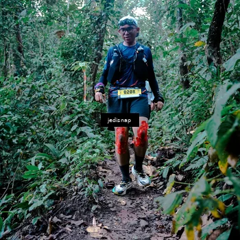 Runner Photo 5246556