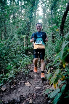 Runner Photo 5246601