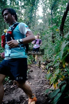Runner Photo 5246613