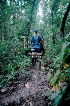 Runner Photo 5246623