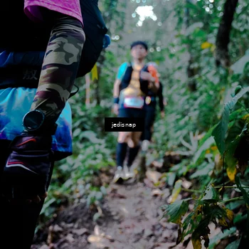 Runner Photo 5246708