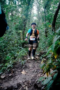Runner Photo 5246710