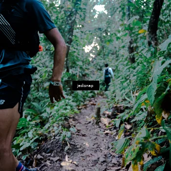 Runner Photo 5246750