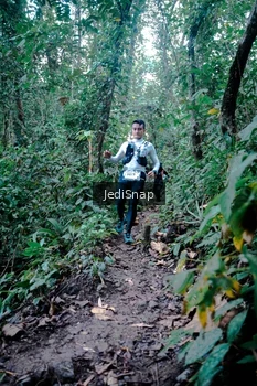 Runner Photo 5246756