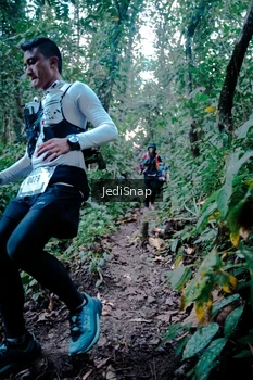 Runner Photo 5246772