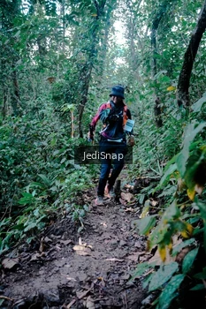 Runner Photo 5246774