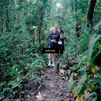 Runner Photo 5246830