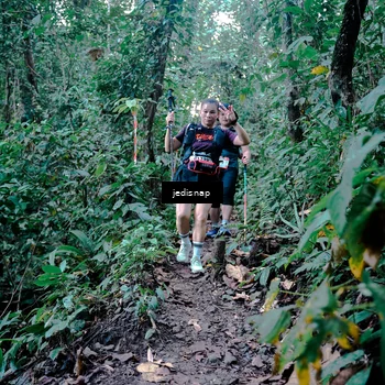 Runner Photo 5246834