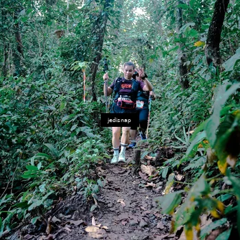 Runner Photo 5246835