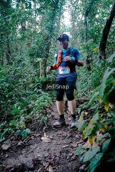 Runner Photo 5246864