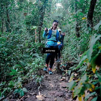 Runner Photo 5246975