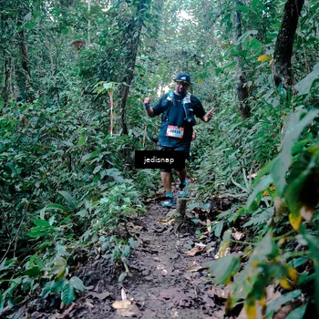 Runner Photo 5247042