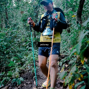 Runner Photo 5247099