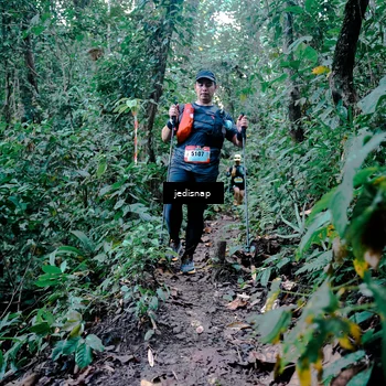 Runner Photo 5247148