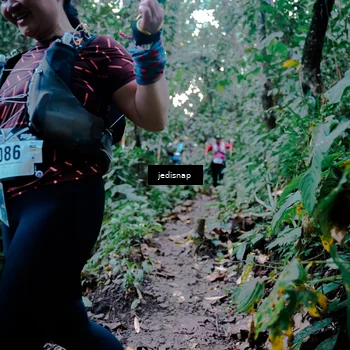 Runner Photo 5247248