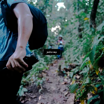 Runner Photo 5247293
