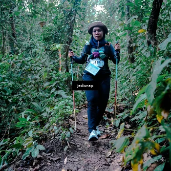 Runner Photo 5247309
