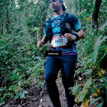 Runner Photo 5247401