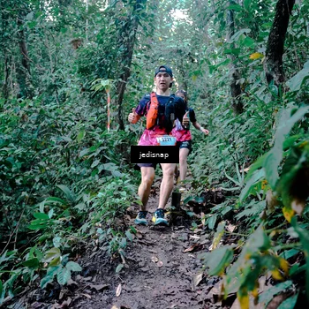 Runner Photo 5247426