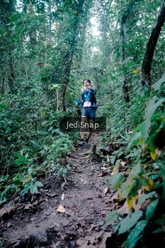 Runner Photo 5247452