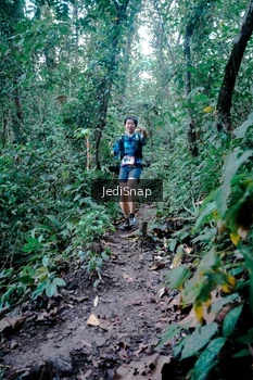 Runner Photo 5247458