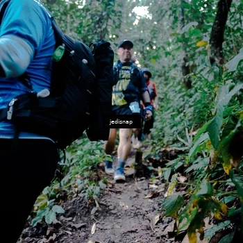 Runner Photo 5247494