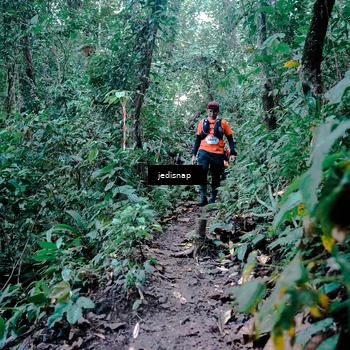 Runner Photo 5247535