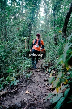 Runner Photo 5247538