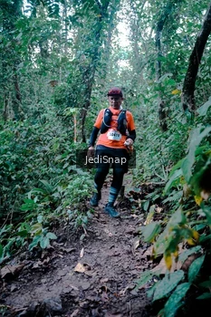 Runner Photo 5247541