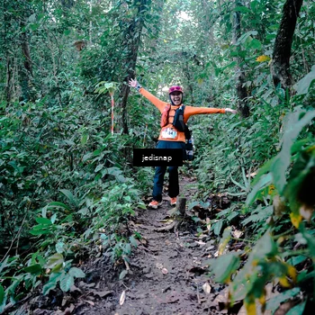 Runner Photo 5247564