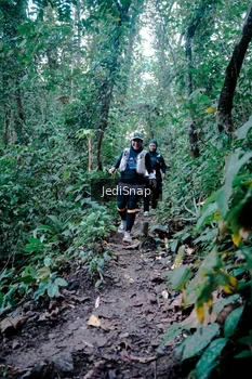 Runner Photo 5247589