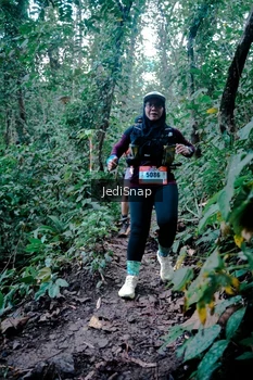 Runner Photo 5247673