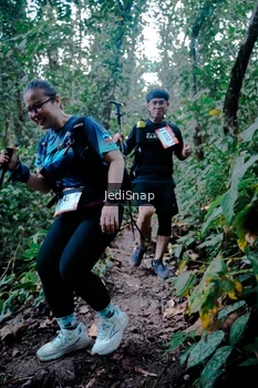 Runner Photo 5247745