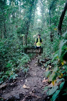 Runner Photo 5247750