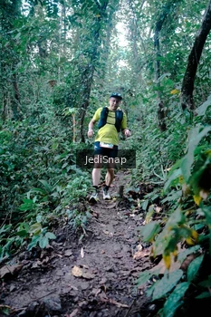 Runner Photo 5247751
