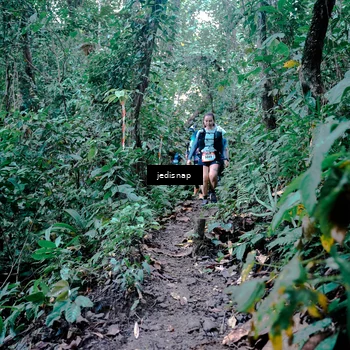 Runner Photo 5247773