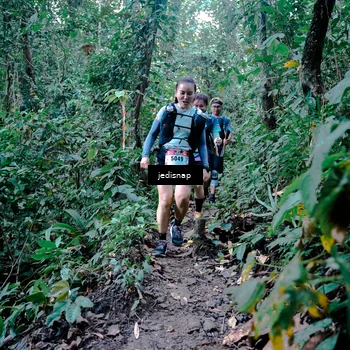 Runner Photo 5247803