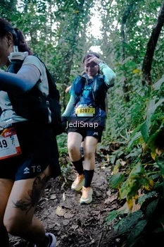 Runner Photo 5247806