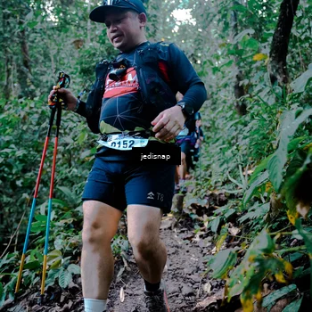 Runner Photo 5247831