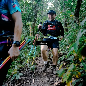Runner Photo 5247832