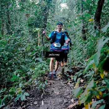 Runner Photo 5247843