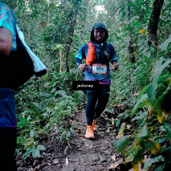 Runner Photo 5247860