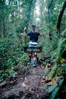 Runner Photo 5247921