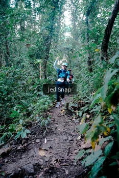 Runner Photo 5248000