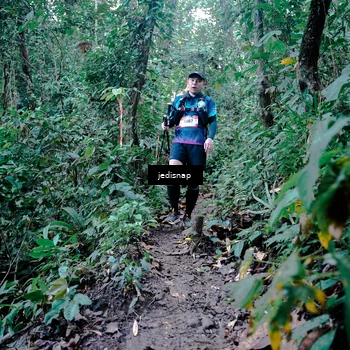 Runner Photo 5248037