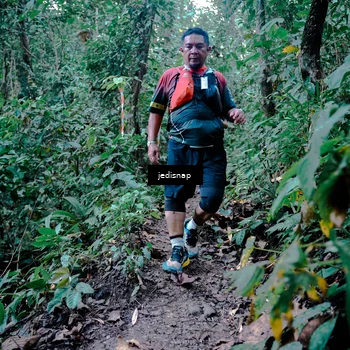 Runner Photo 5248130