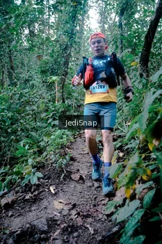 Runner Photo 5248154