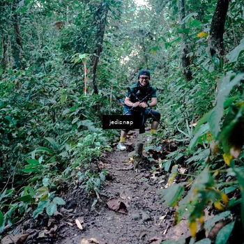Runner Photo 5248198