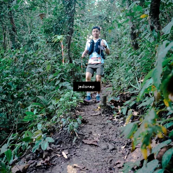 Runner Photo 5248217
