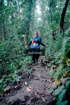 Runner Photo 5248255